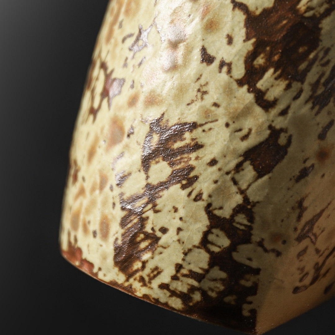 Ceravor Rustic Speckled Matte Ceramic Coffee Mug - 350ml